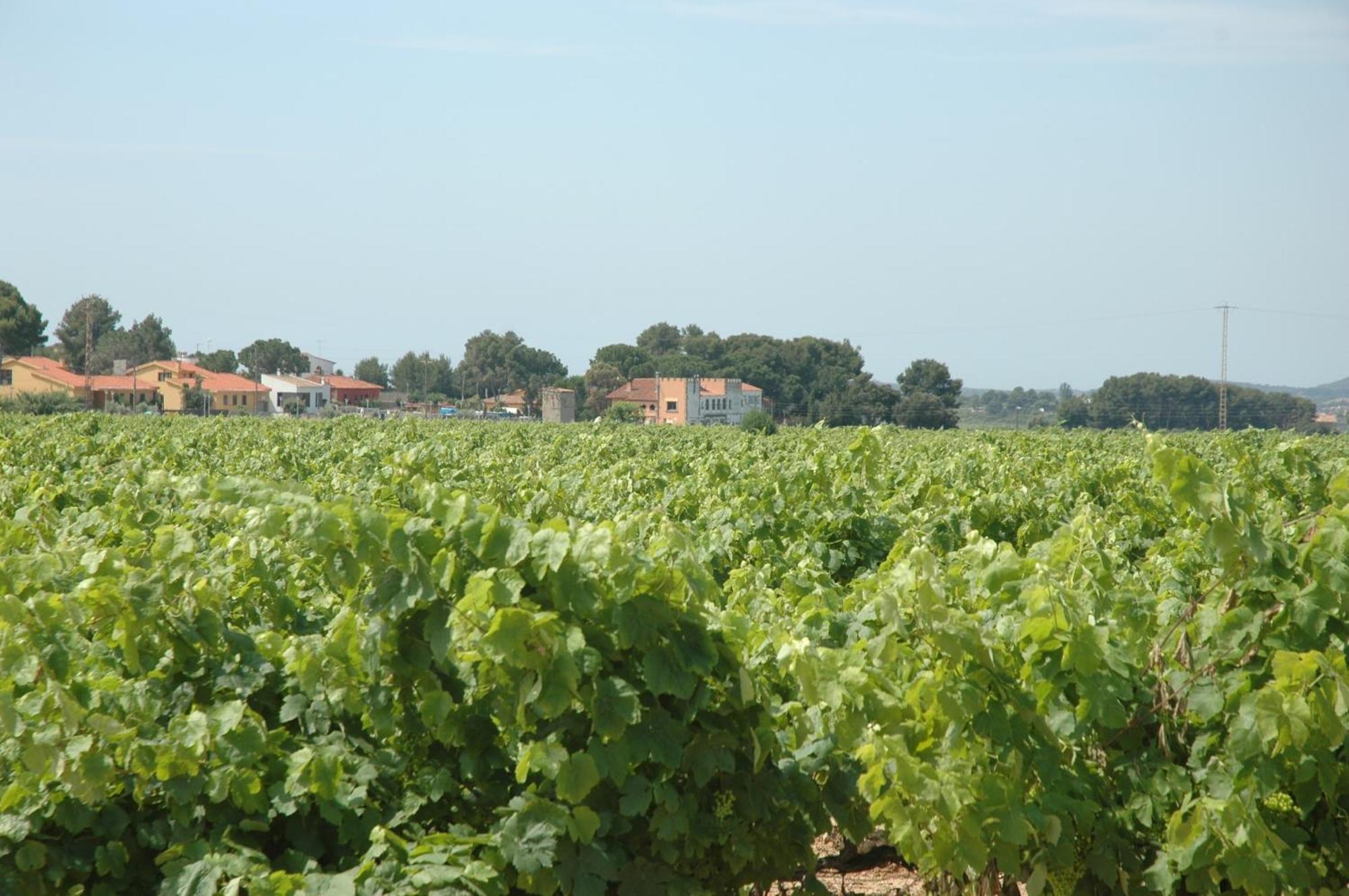 Hotel Restaurant El Bosc Banyeres del Penedes Luaran gambar